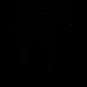 Meet your Posher, Dagmar